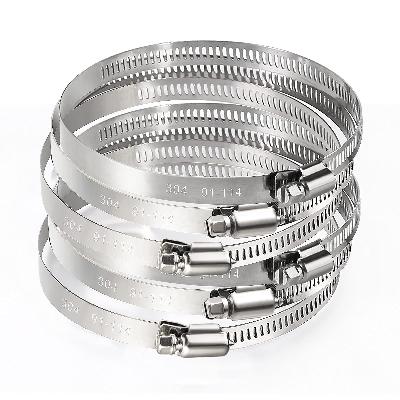 SS 304 Worm Drive Hose Clamp 8"